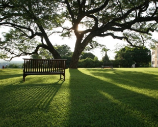 The Victoria Falls Hotel