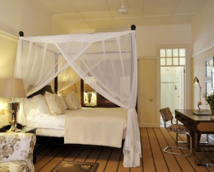 Stables Signature Wing Room